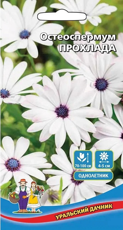 Остеоспермум Прохлада (УД) 0,1 гр цв п