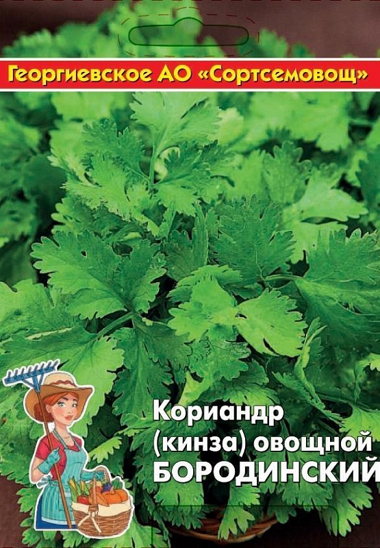 Кориандр (кинза) Бородинский овощной 10 гр ц.п (Сортсемовощ)