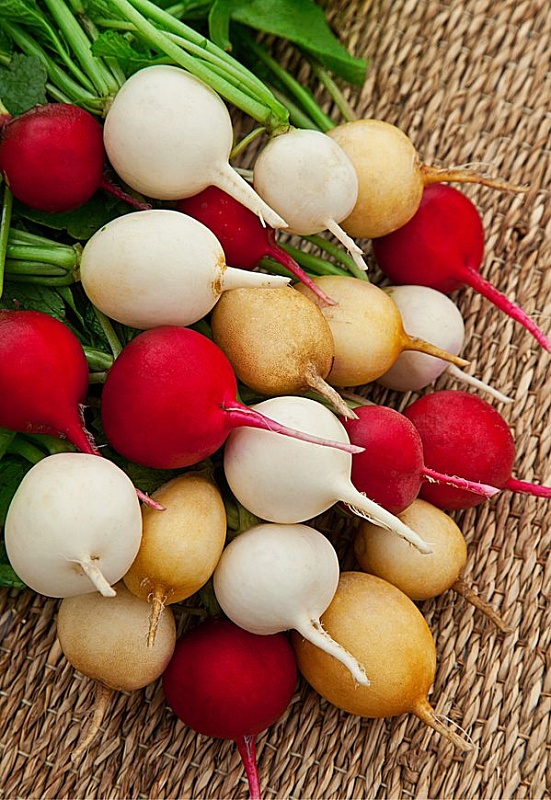 Редис Веселая семейка 2 гр цв.п.