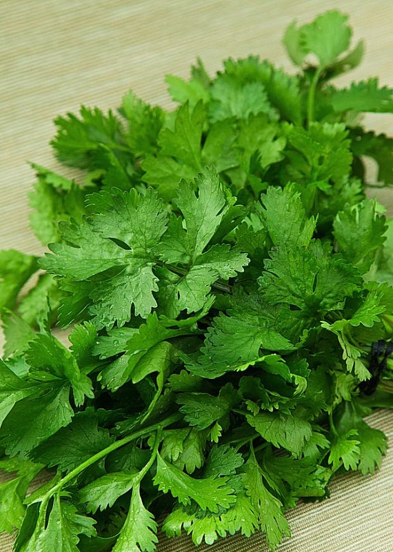 Кориандр (кинза) Бородинский овощной 1 гр. б.п