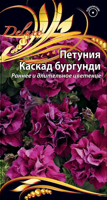 Петуния Каскад бургунди 10 шт