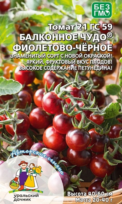 Томат Балконное Чудо фиолетово-черное (УД) 12 шт цв.п