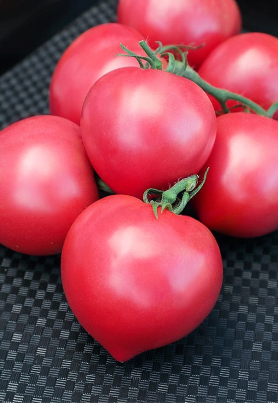 Томат Розовые вершины F1 (Селекция "ВХ") 0,05 гр цв.п