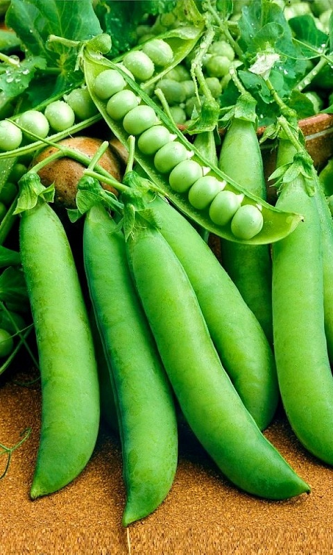 Горох Воронежский зеленый  (УД) 8 гр цв.п.