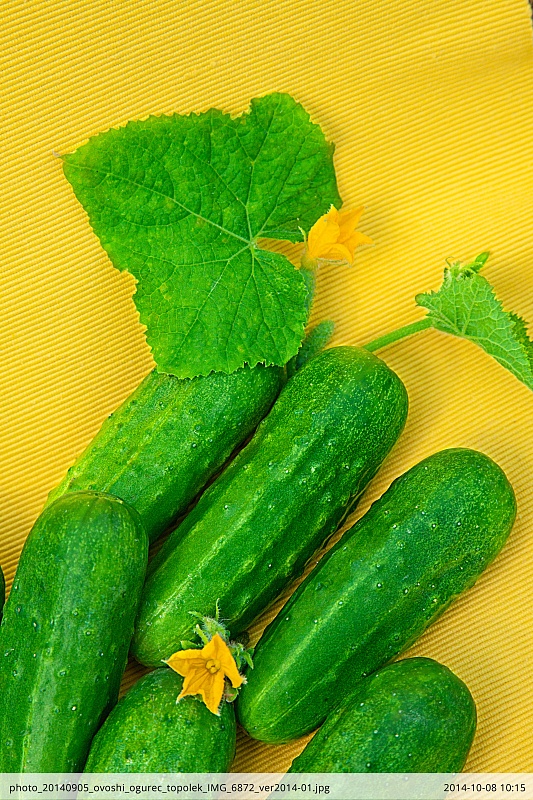 Огурец Тополек F1 0,25 гр цв.п.