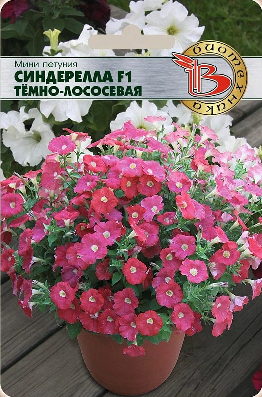 Петуния мини Синдерелла F1 Темно-Лосесевая 15 шт