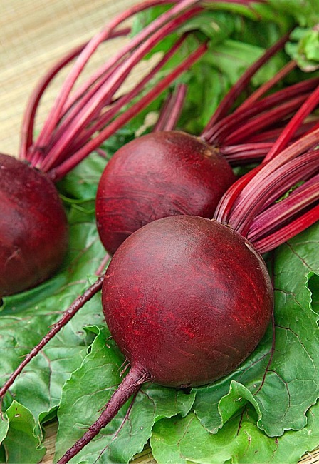 Свекла Пабло F1 1 гр цв.п