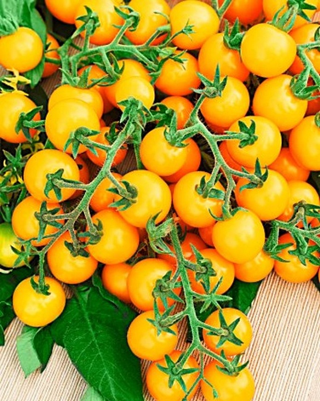 Томат черри Вишня желтая 0,03 гр цв.п