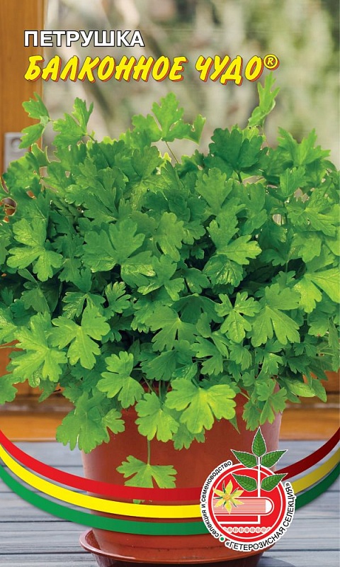 Петрушка Балконное чудо (УД) 2 гр цв.п.