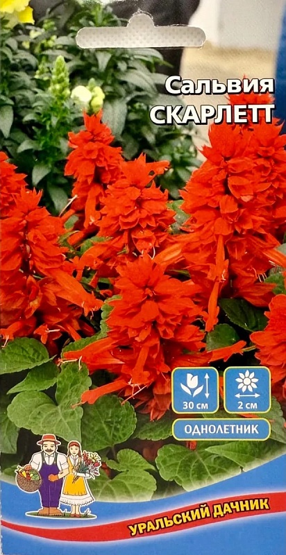 Сальвия Скарлет (УД) 0,05 г