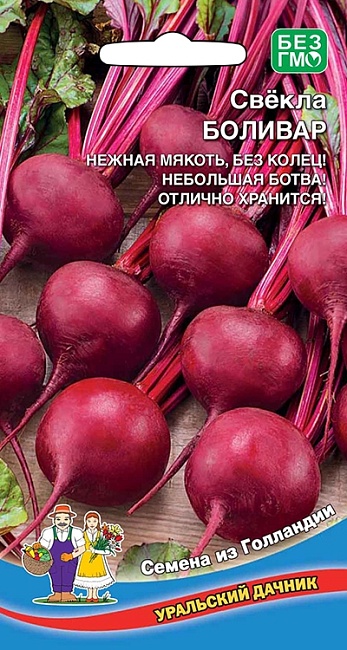Свекла Боливар (УД)  2 гр  цв.п