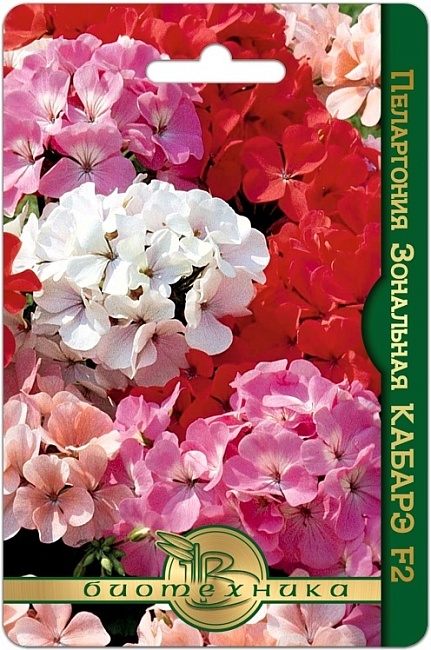 Пеларгония зональная Кабарэ F2 5 шт