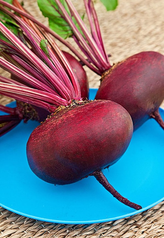 Свекла Хавская 2 гр б.п