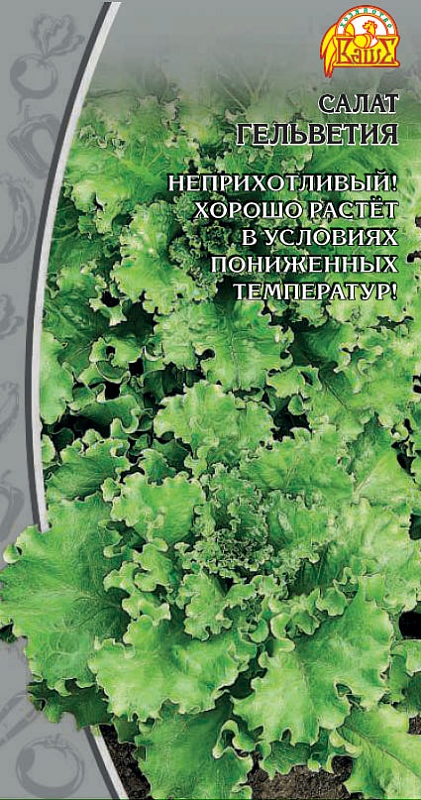 Салат Гельветия (Селекция "ВХ") 1 гр цв.п