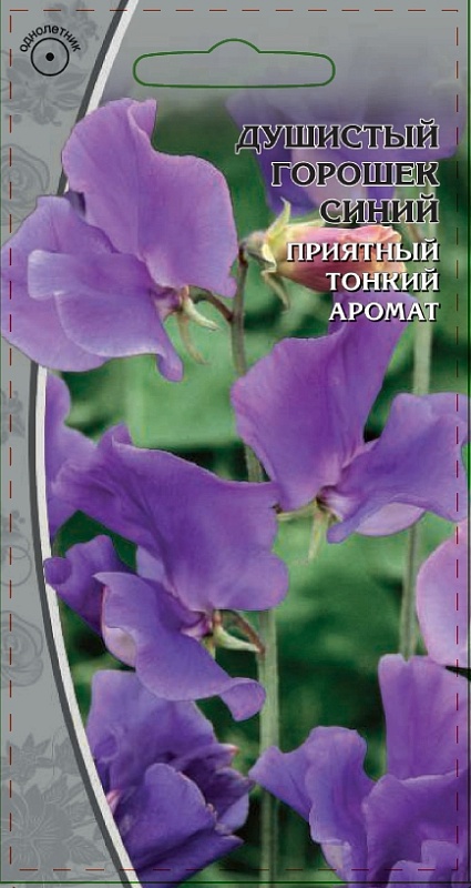 Душистый горошек Синий 0,5 гр