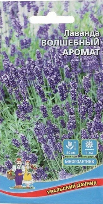 Лаванда Волшебный аромат (УД) 0,05 гр цв п