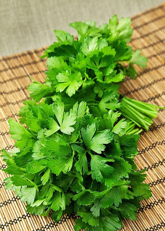 Петрушка листовая Бутербродная 3 гр б.п.