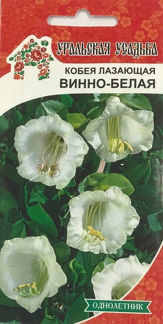 Кобея лазающая Винно-белая (УД) 3 шт цв п