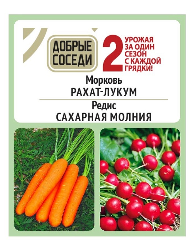 Морковь РАХАТ-ЛУКУМ и Редис САХАРНАЯ МОЛНИЯ