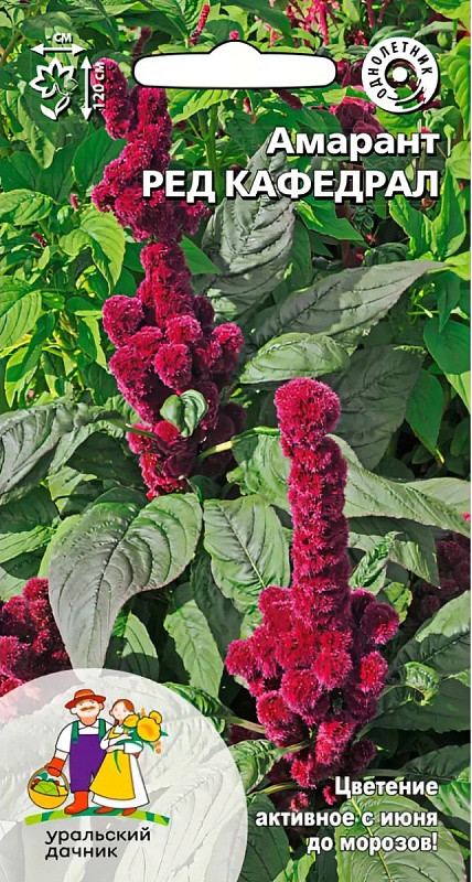 Амарант Ред Кафедрал (УД) 0,15 гр цв п
