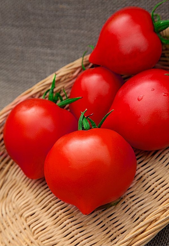 Томат Красный купол (Селекция "ВХ") F1 0,03 гр цв.п.