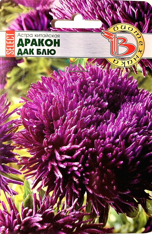 Астра Дракон селект Дак Блю 30 шт