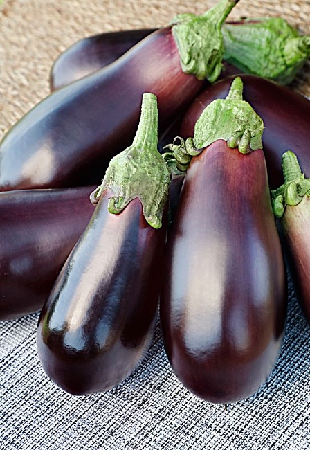 Баклажан Альбатрос 0,1 гр. цв.п.