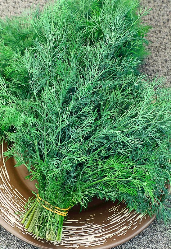 Укроп Салют 2 гр б.п