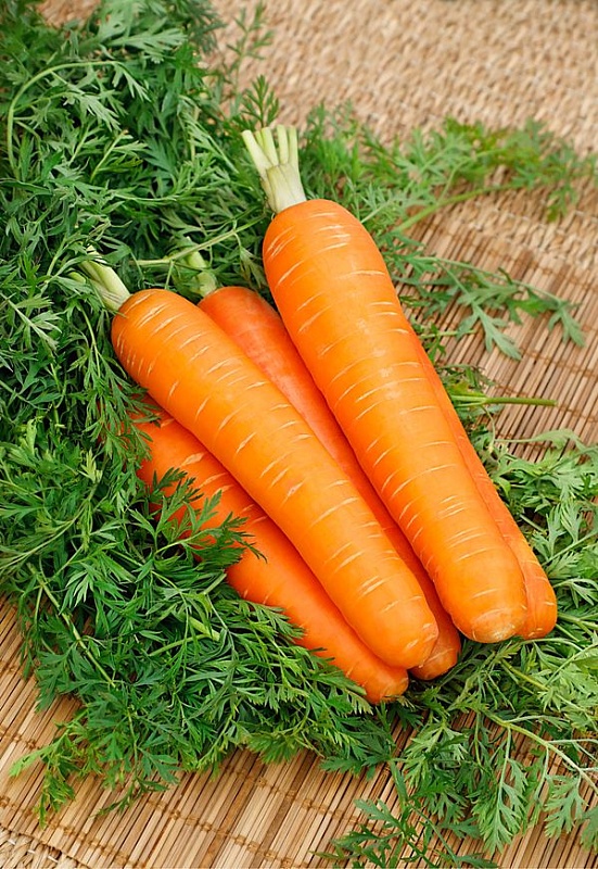 Морковь Вкусняшка  2 гр цв.п