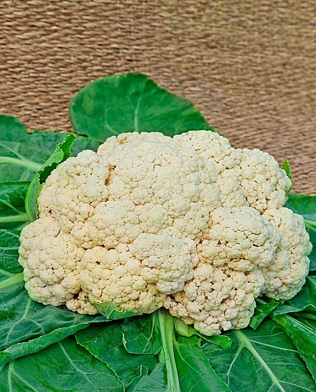 Капуста цветная Экспрес МС 0,3 гр цв.п.