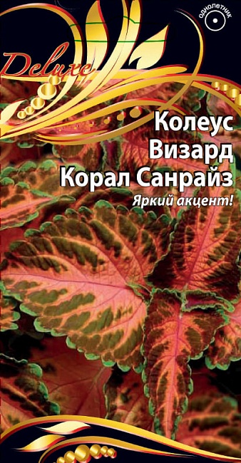 Колеус Визард Корал Санрайз 5 шт