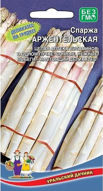 Спаржа Аржентельская (УД) 10 шт