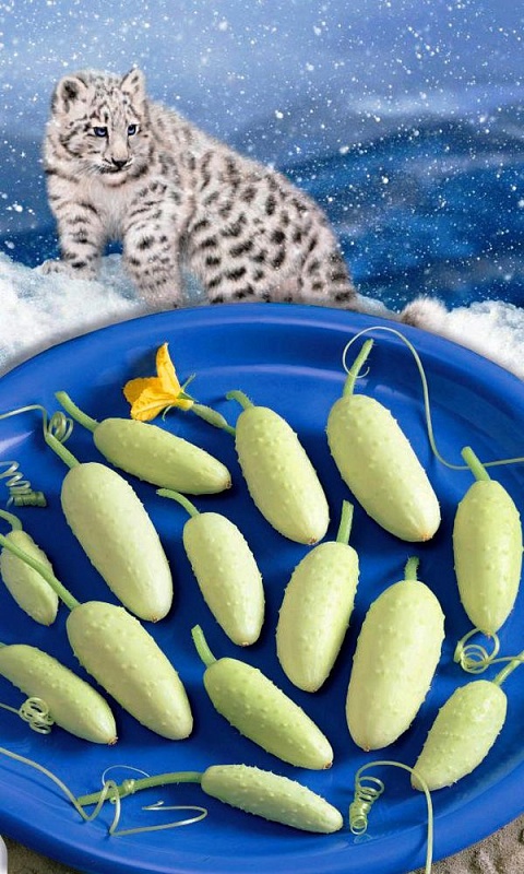 Огурец Снежный Барс (УД) 10 шт цв.п