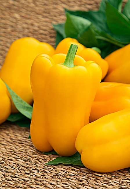 Перец сладкий Изюминка 0,1г цв.п (Сибирская серия) КЭШБЭК 25%