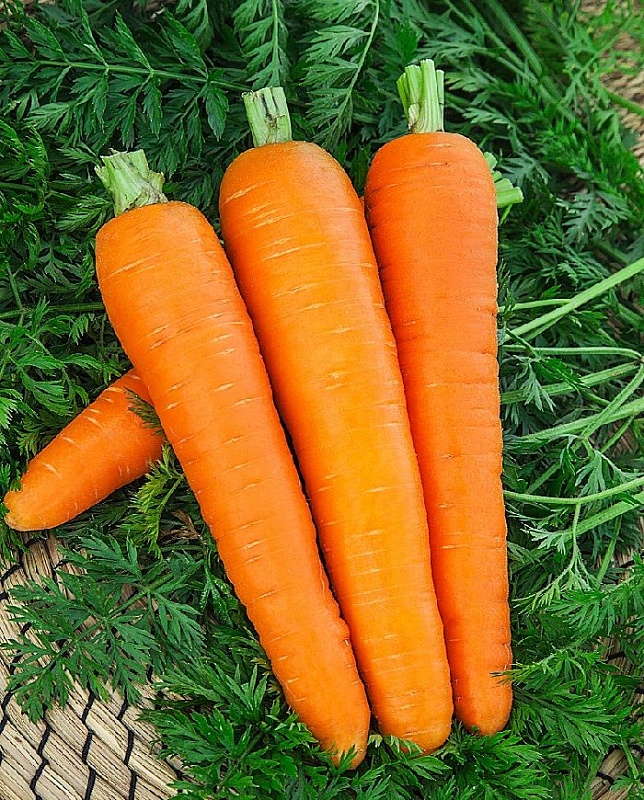 Морковь Роте Ризен 2 гр цв.п.