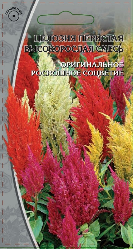 Целозия перистая Высокорослая смесь 0,5 гр