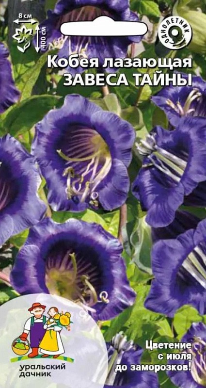 Кобея лазающая Завеса тайны (УД) 3 шт цв п