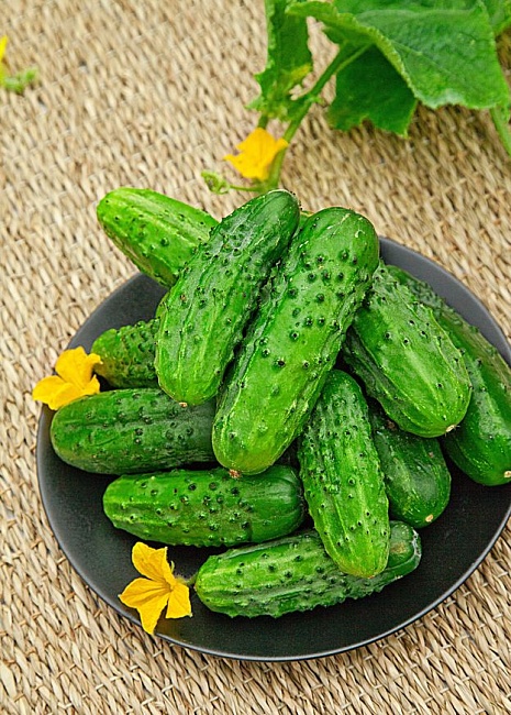 Огурец Бочковой F1 0,25 гр цв.п (Био-старт)