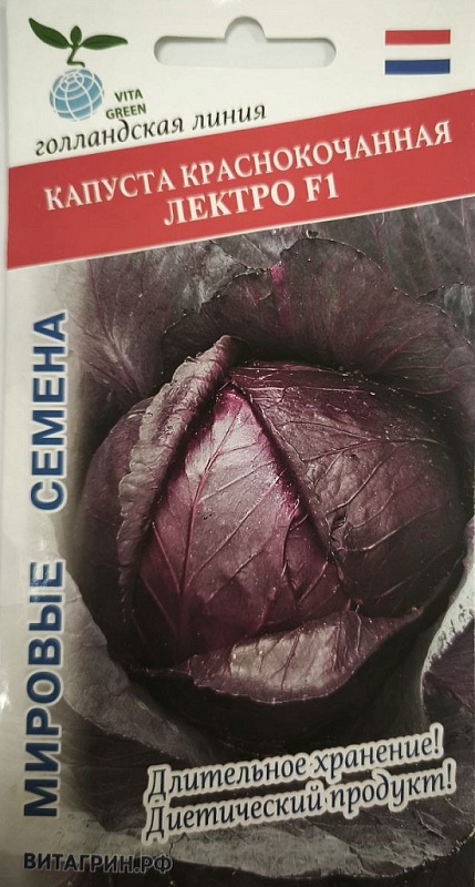 Капуста краcнокочанная Лектро F1 (Bejo Zaden) 10шт. цв.п.