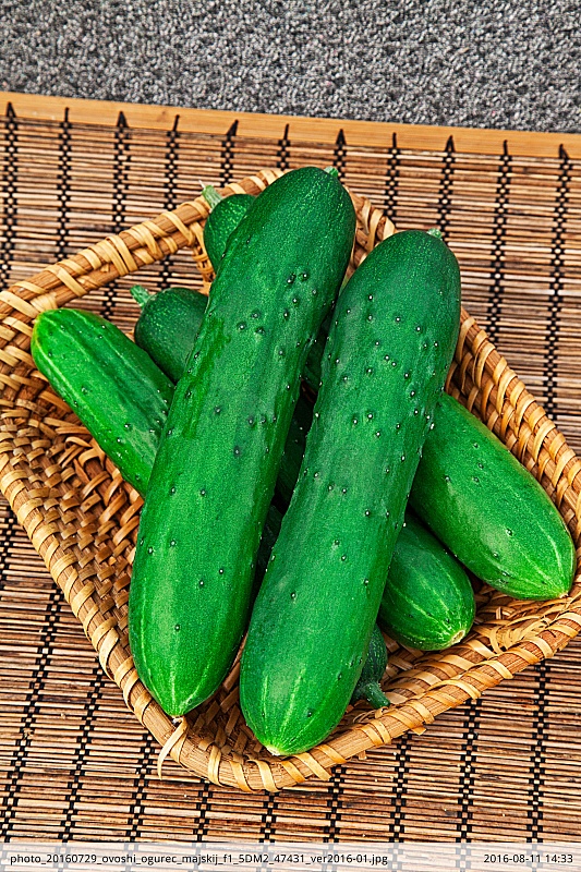 Огурец Майский F1 0,25 гр цв.п.