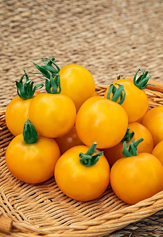 Томат Миловичка (Селекция "ВХ") 0,05 г цв/п