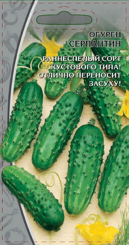 Огурец Серпантин 0,25  цв.п.