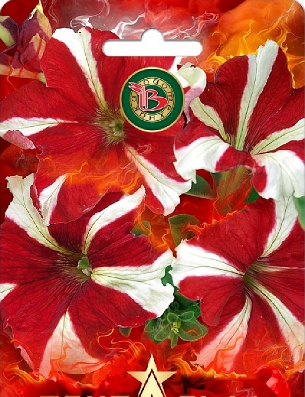Петуния Пентальфа F1 Ред Стар 15 шт