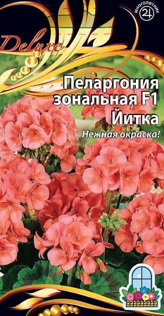 Пеларгония зональная F1 Йитка 5 шт      