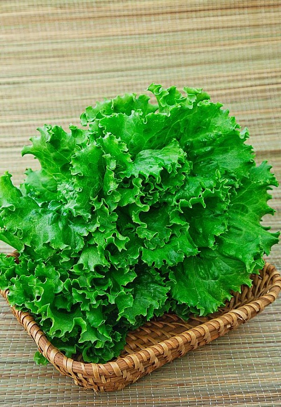 Салат Кучерявец Одесский 0,25 гр цв.п