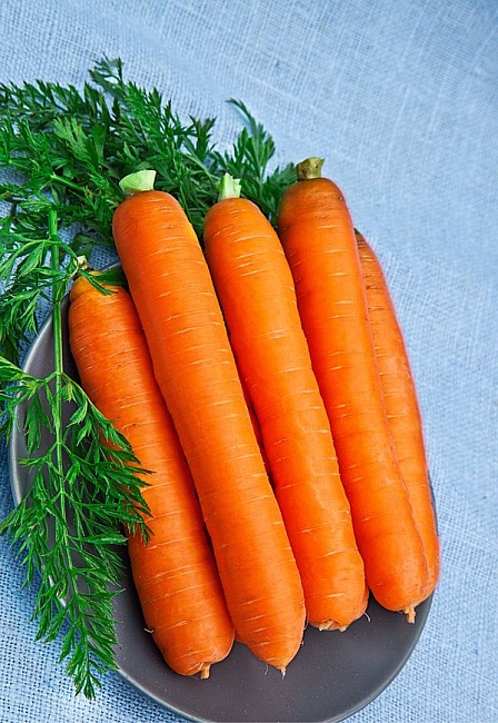 Морковь Лосиноостровская 13 2 гр б.п. КЭШБЭК 25%