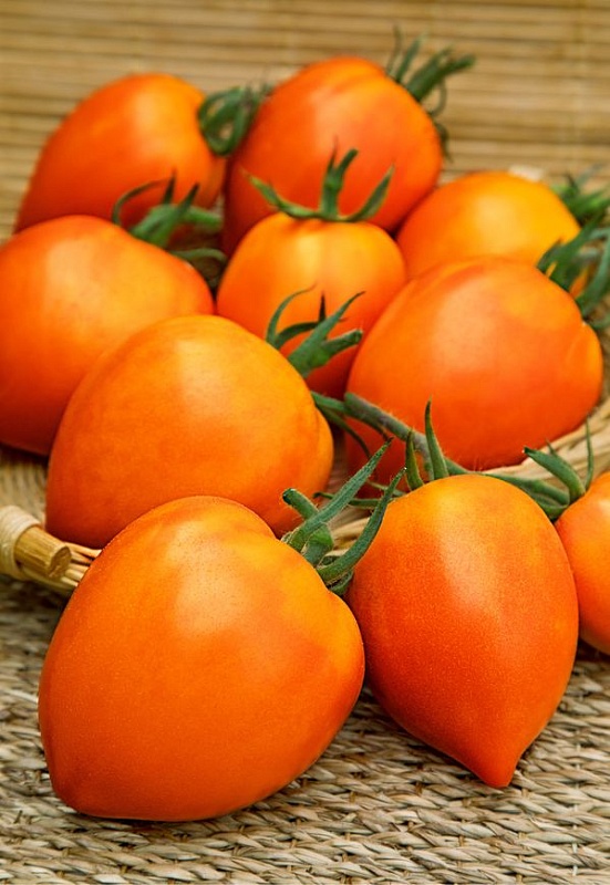 Томат Янтарный купол F1 (Селекция "ВХ") 0,05 гр цв.п