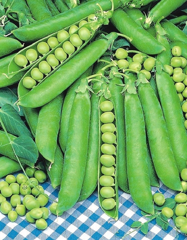 Горох Стайл - сахарный (УД) 5 гр цв.п.