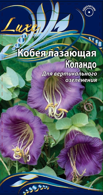 Кобея лазающая Коландо  5 шт