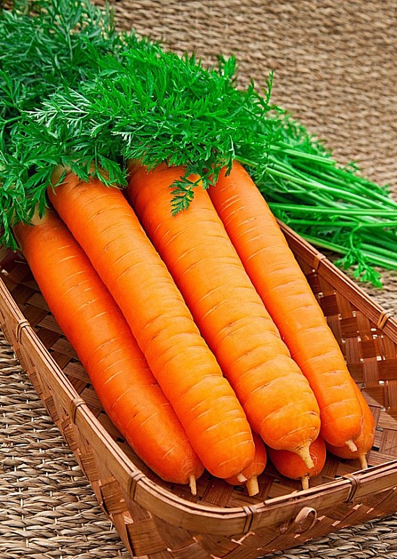 Морковь Самсон 1 гр цв.п.